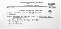 Ustilago haynaldiae image
